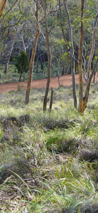 jerrabomberra mountain
