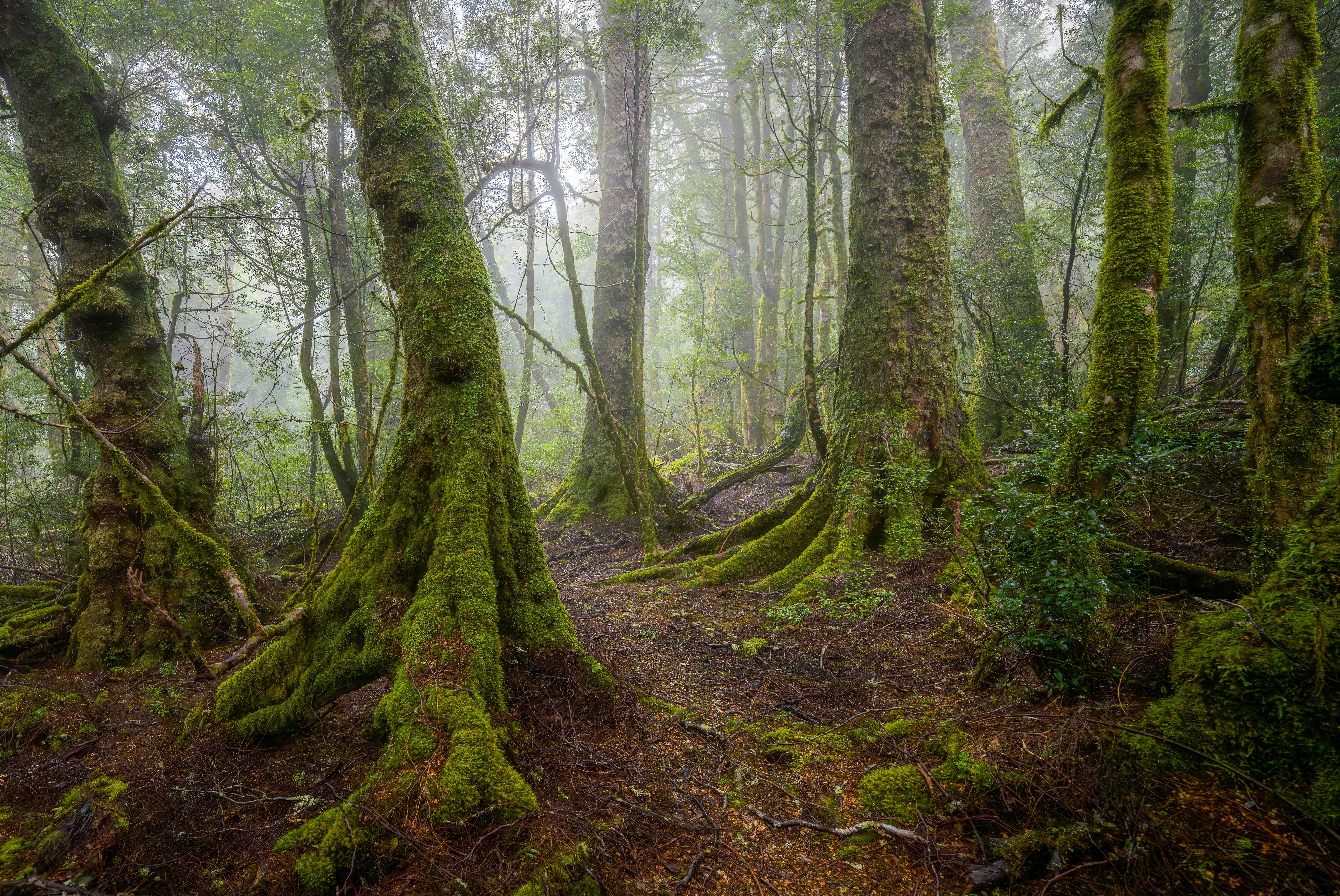 Tasmanian Photography Tours
