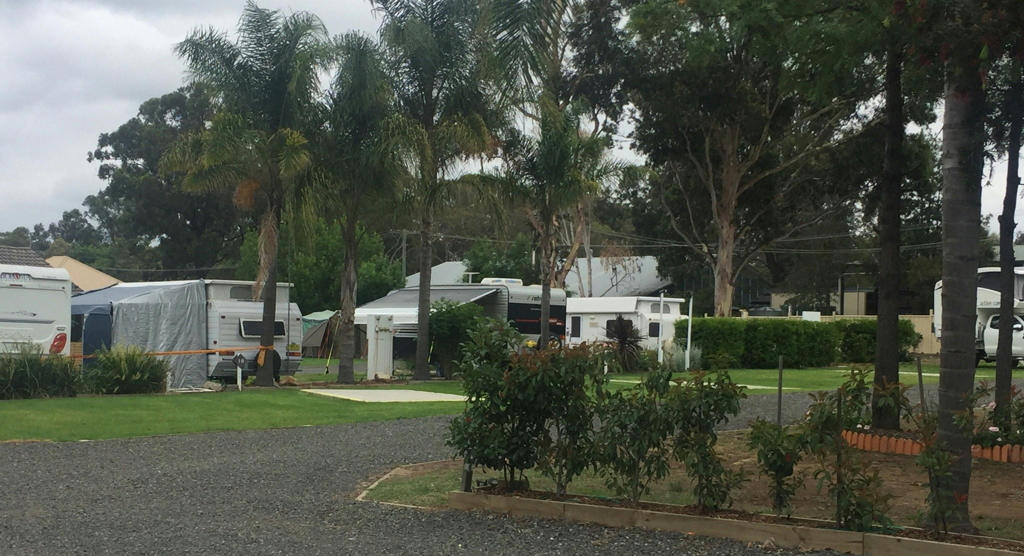 Hunter Valley Caravan Park campground pokolbin