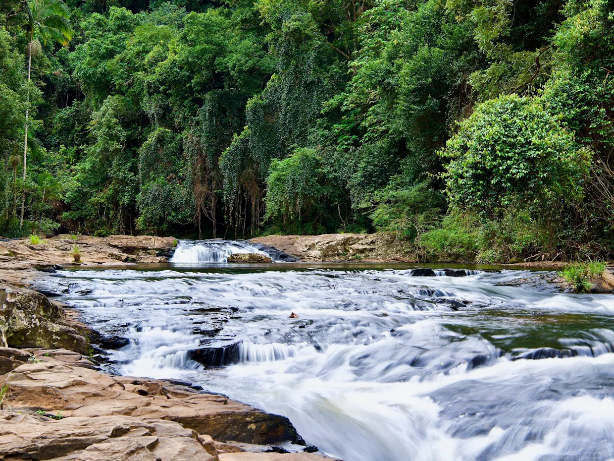 NDIS Accessible Adventure Program - Sunny Coast Hinterland