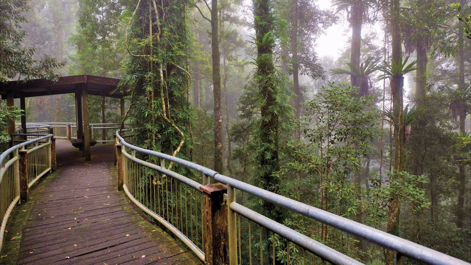 Walk with the Birds Boardwalk