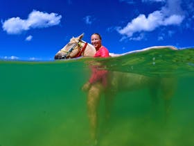 Rainbow Beach Horse Rides