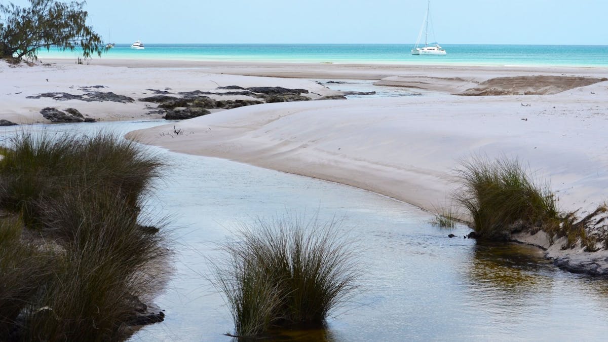 A winding creek meets the ocean, framed by clear blue skies.