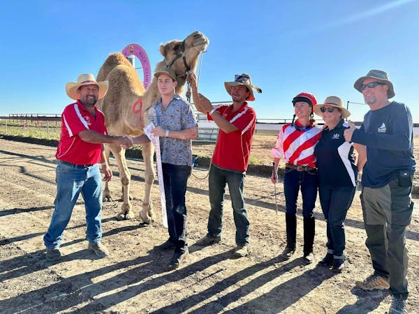 Bedourie Camel & Pig Races 2025