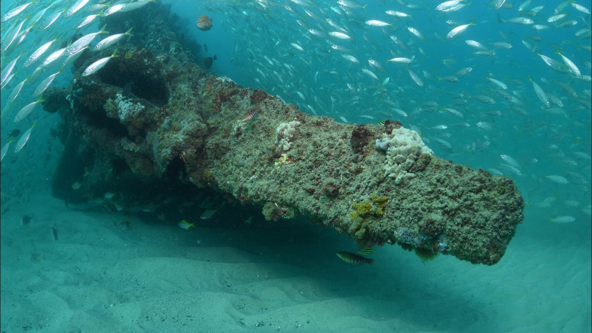 Scottish Prince Dive Site