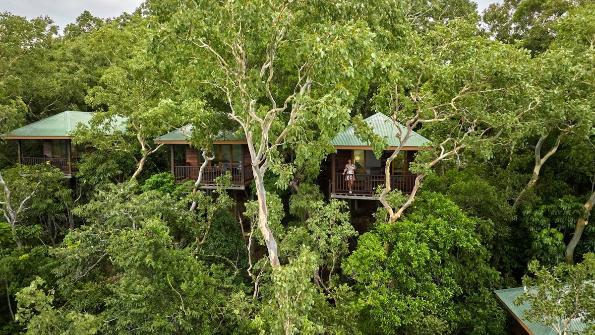 Bungalows in the forest