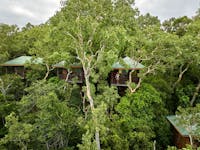 Bungalows in the forest