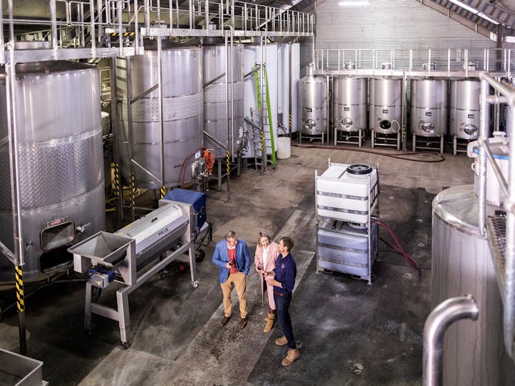 Couple standing in front of tank fermenters in winery