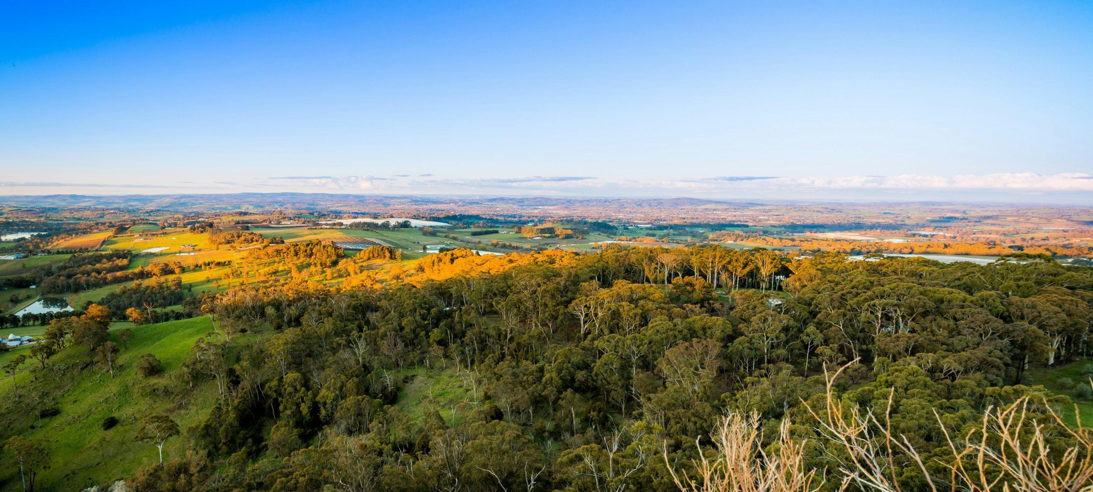 Pinnacle Reserve and Lookout NSW Holidays & Things to