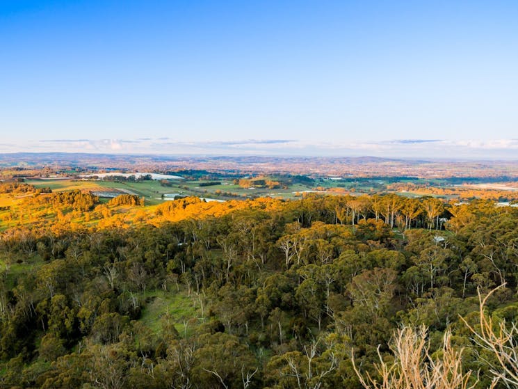 View from Pinnacle Lookout