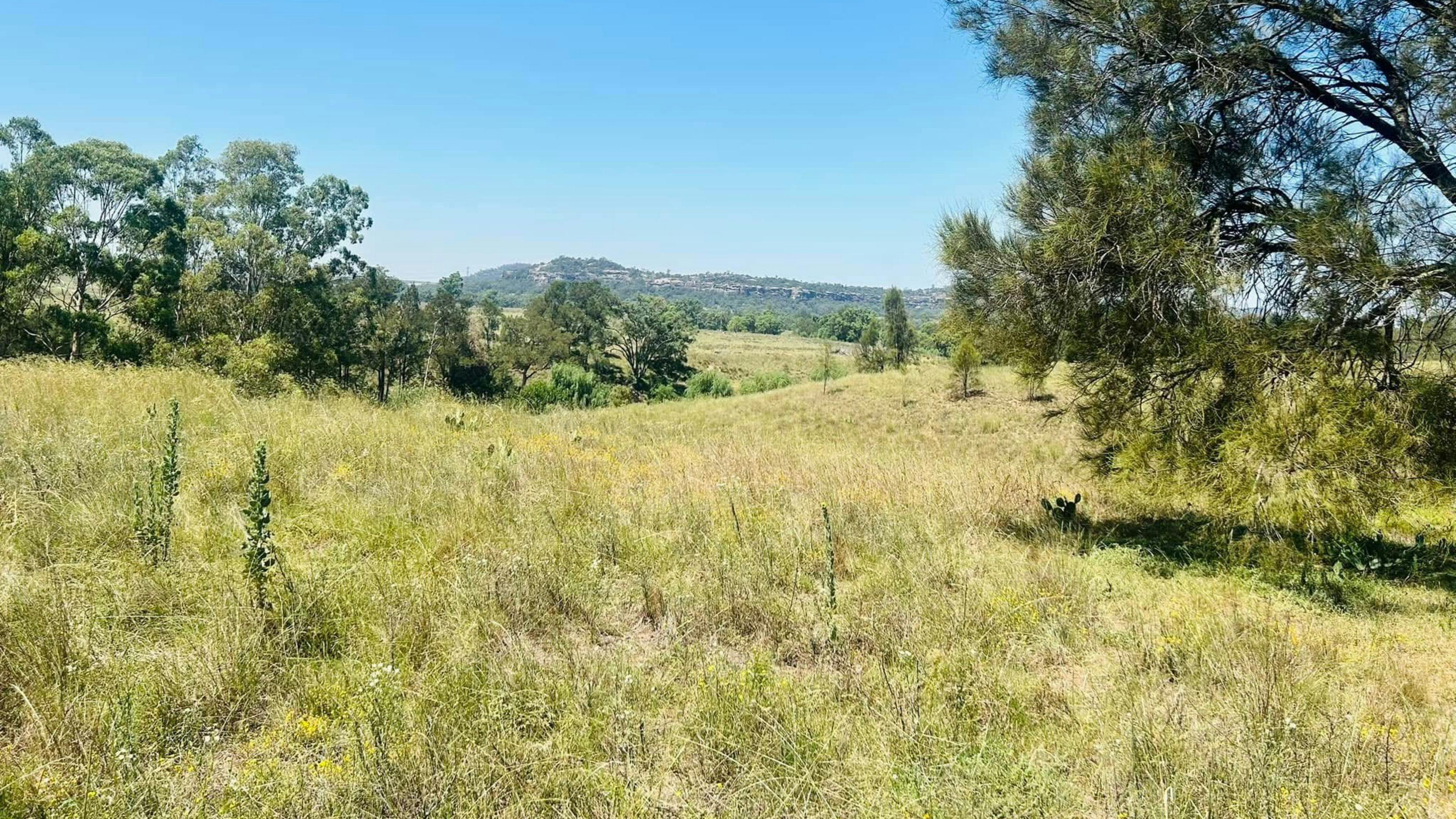 111 Yarraman Farmstead