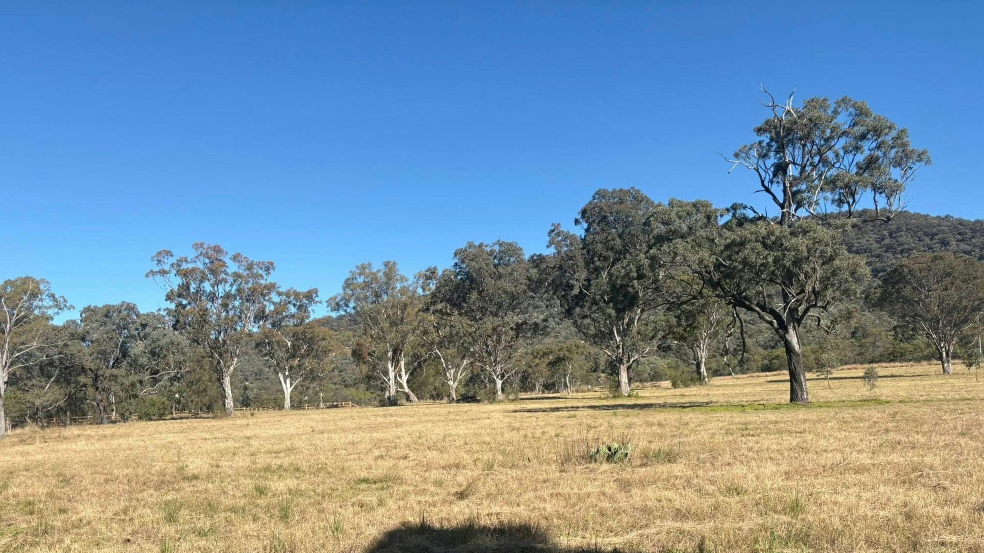 111 Yarraman Farmstead