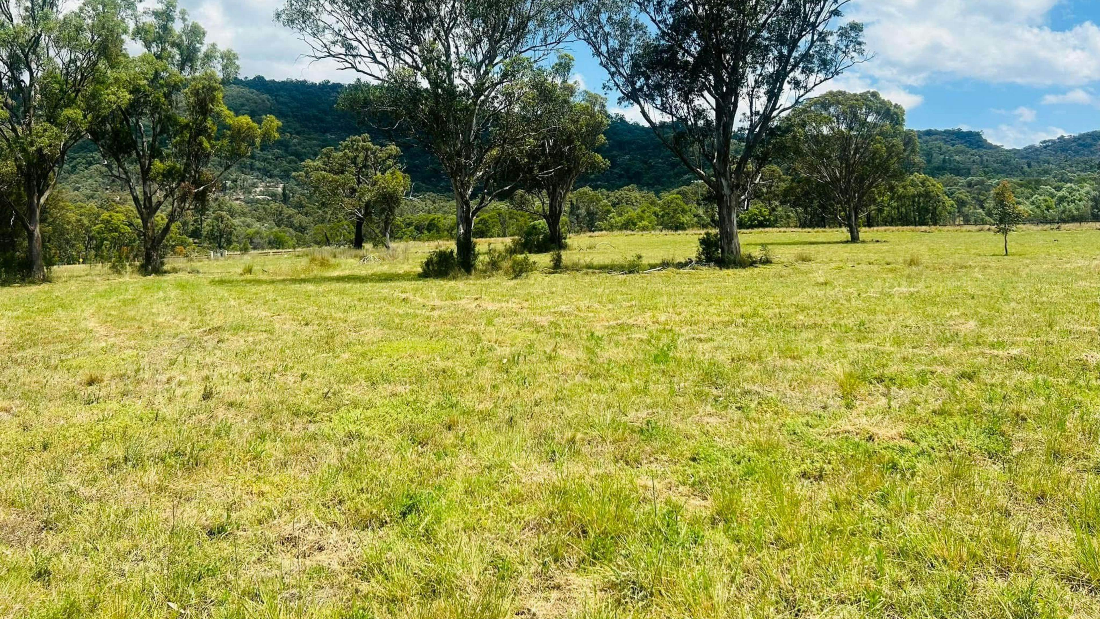 111 Yarraman Farmstead