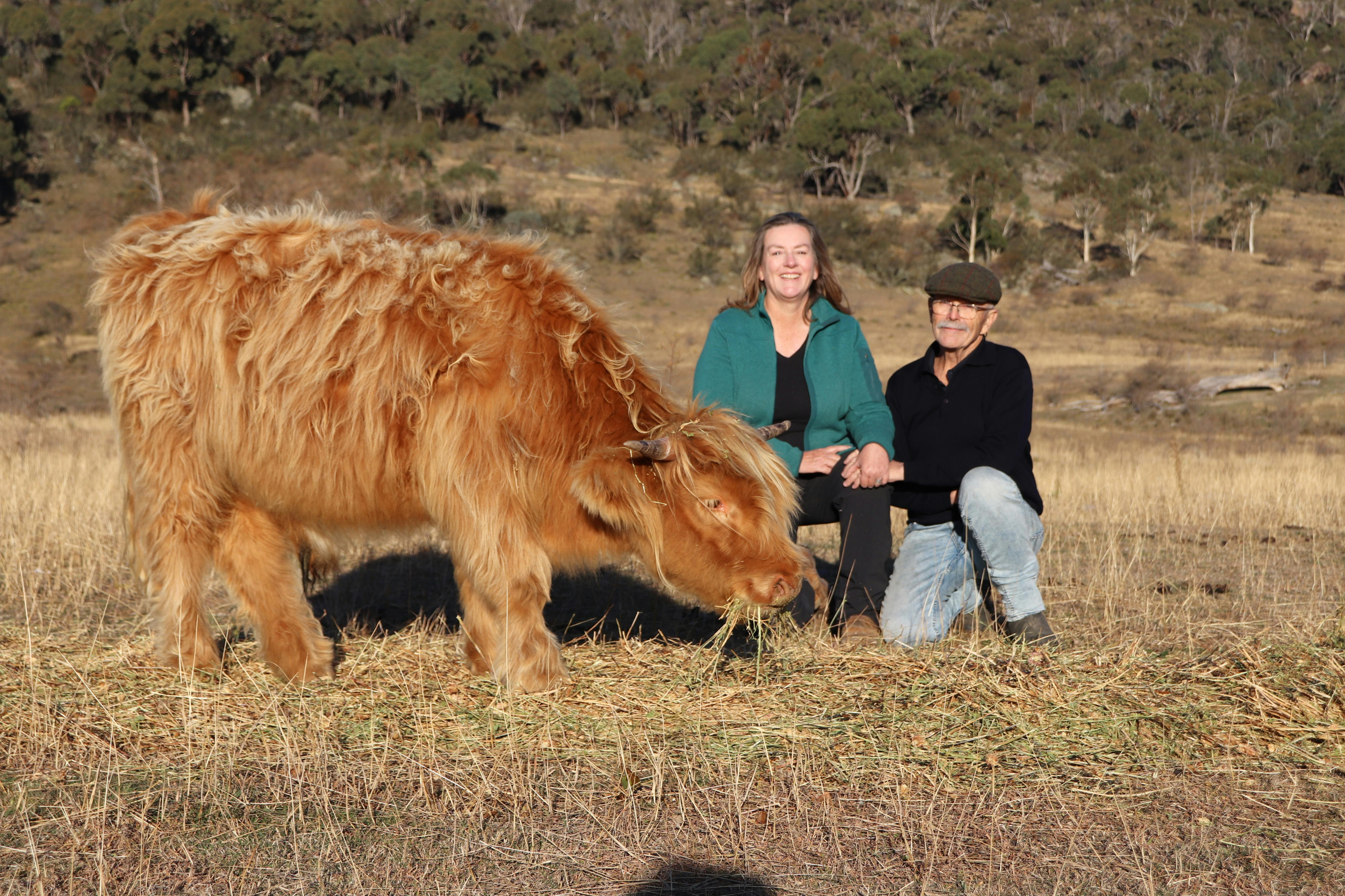 Anne And Graeme with highland cow