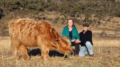Anne And Graeme with highland cow