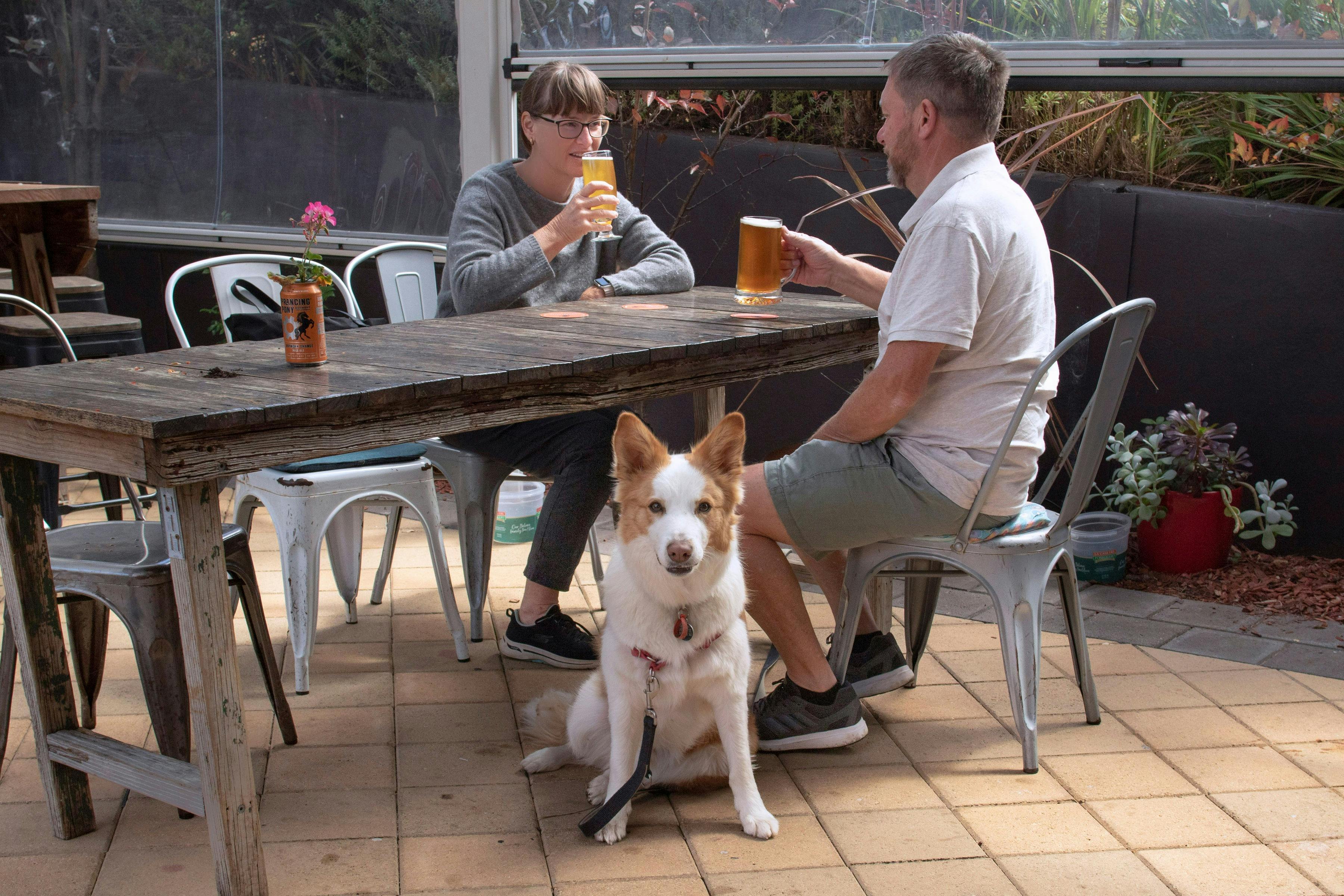 Dog friendly beer garden