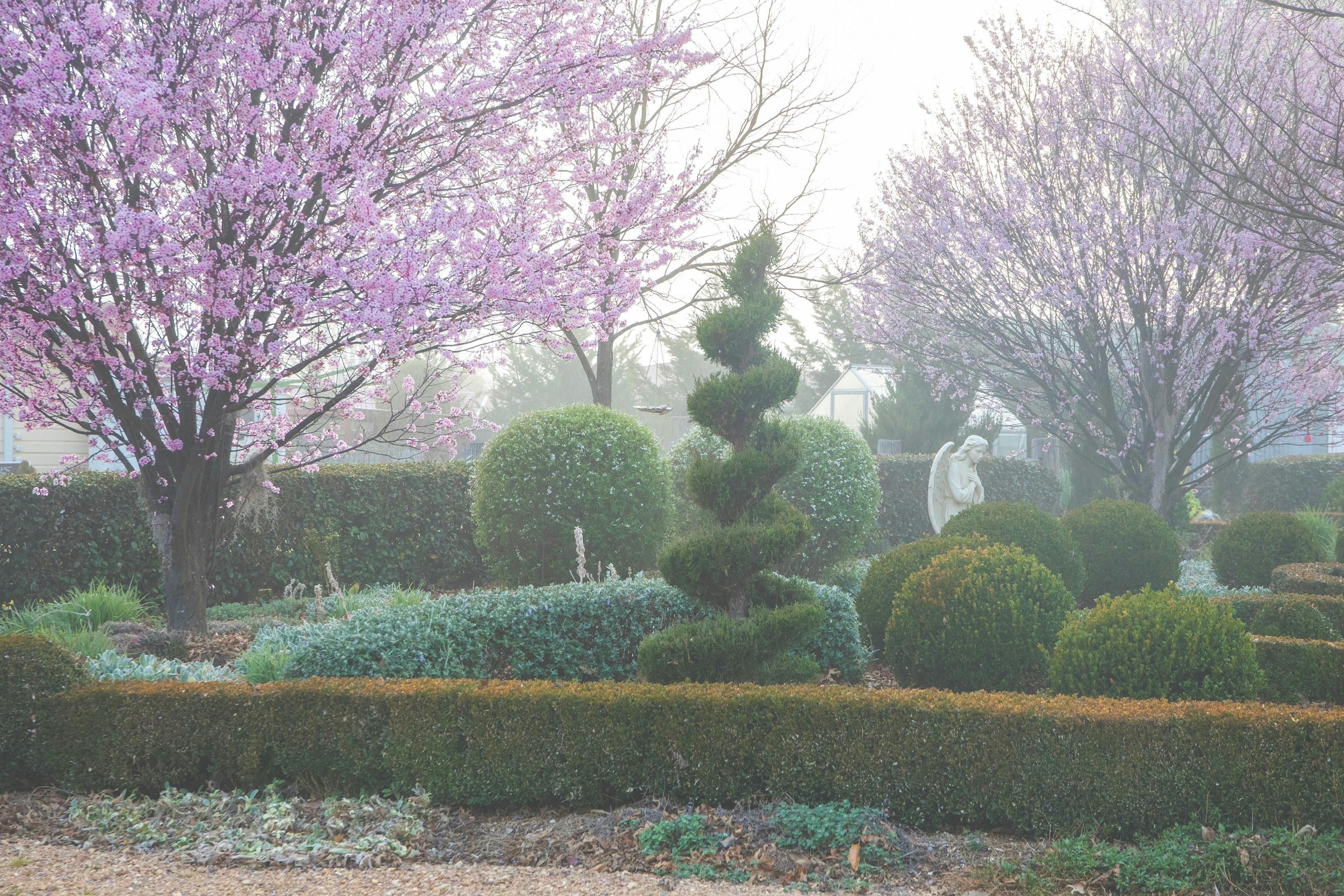 The garden awakens in spring, bursting into a vibrant tapestry of colourful blooms & fresh greenery