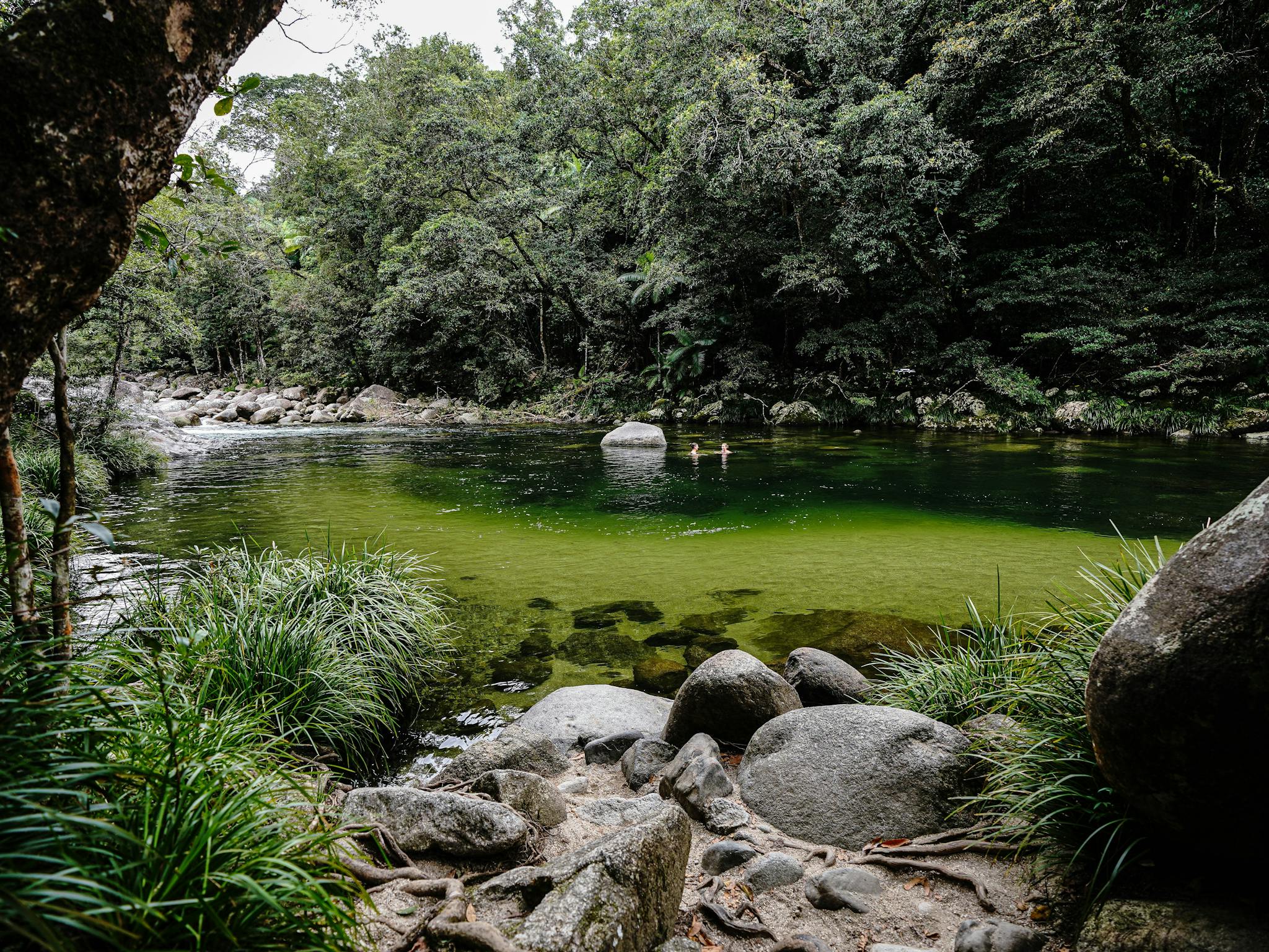 Mossman Gorge from Port Douglas Mossman Gorge from Port Douglas