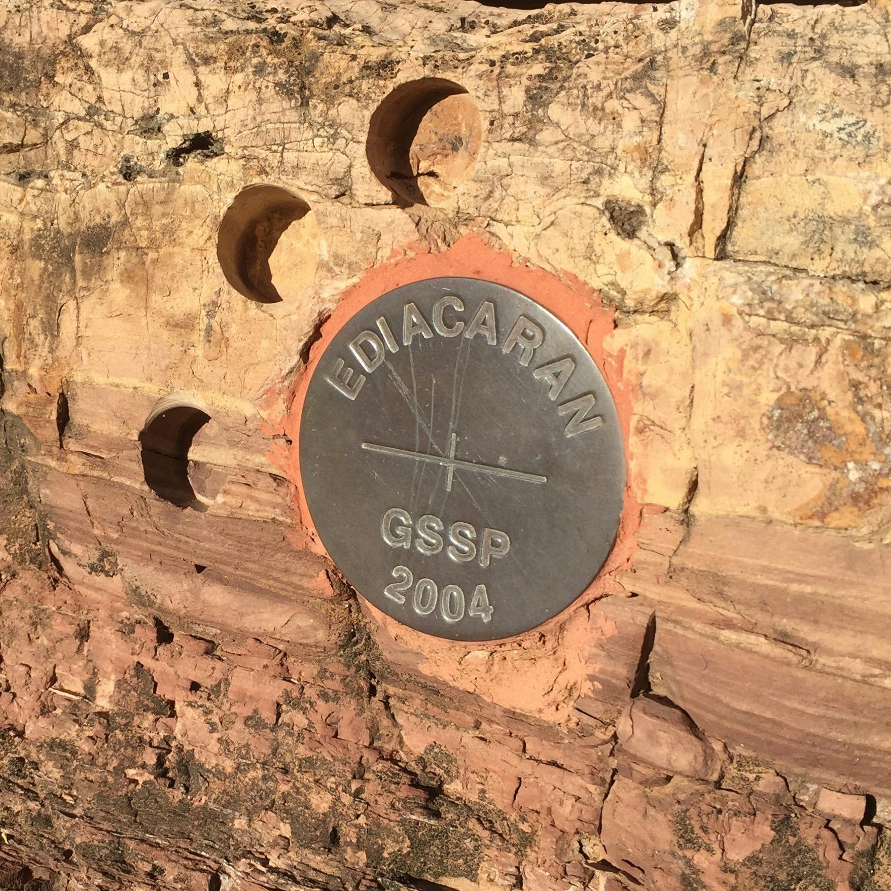 Flinders Ranges GSSP Ediacara