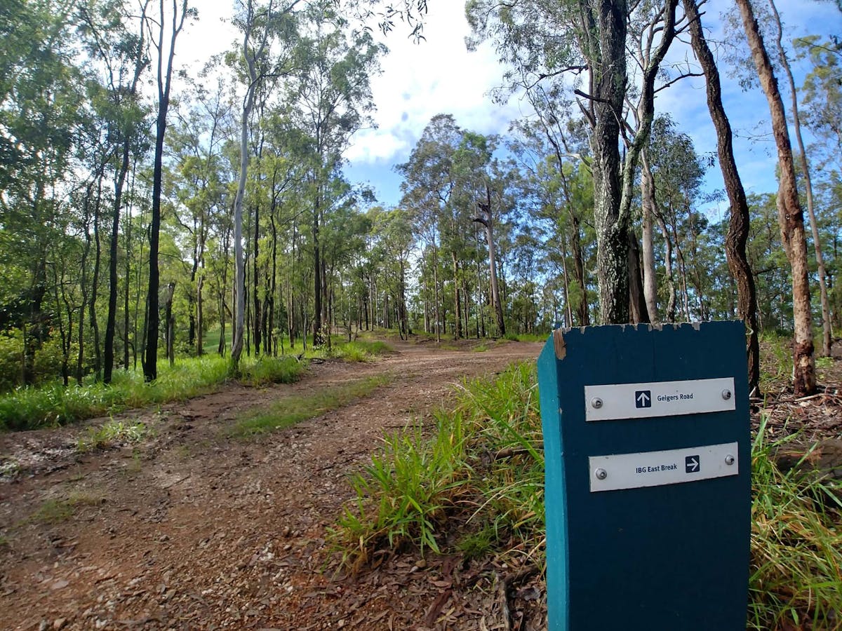 A signpost to direct visitors through one of the many trails in the Samford Conservation Forest