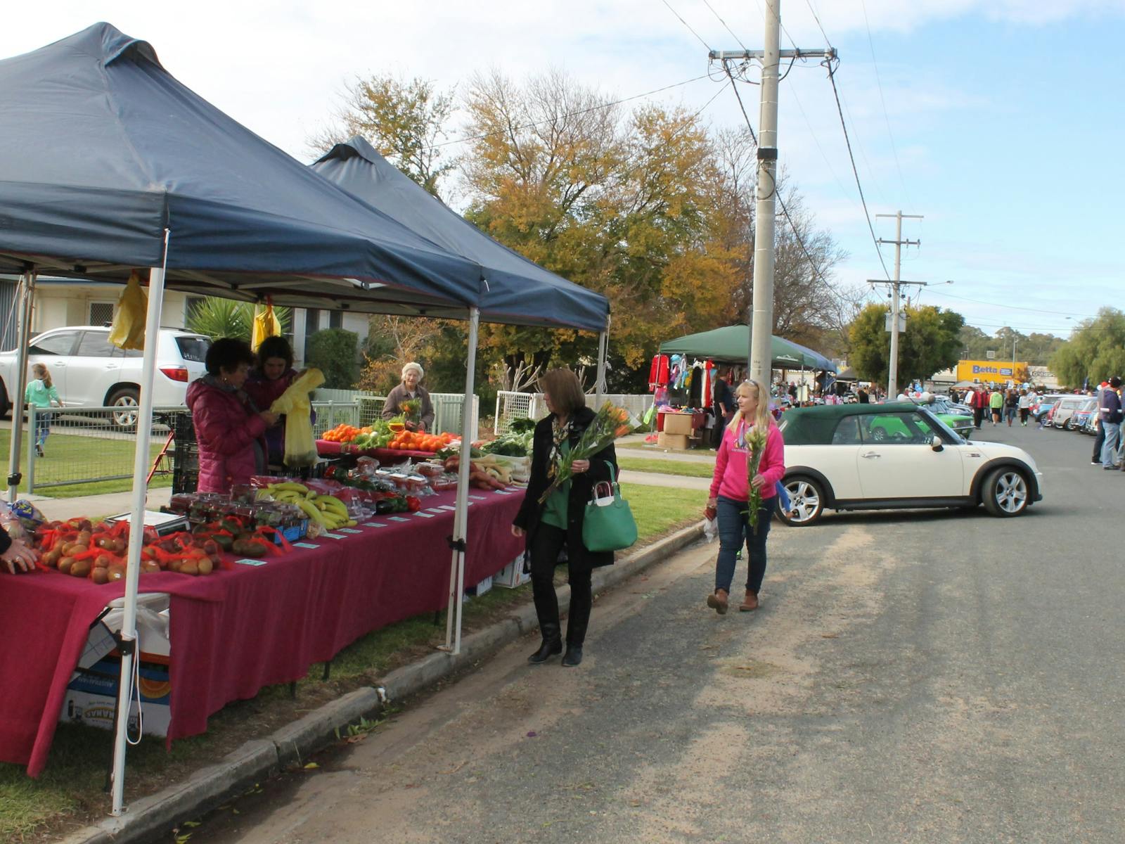 Image for Hay June Long Weekend Markets in Moppett Street