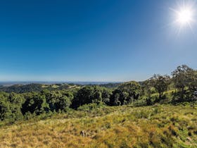 Bunya Mountains image