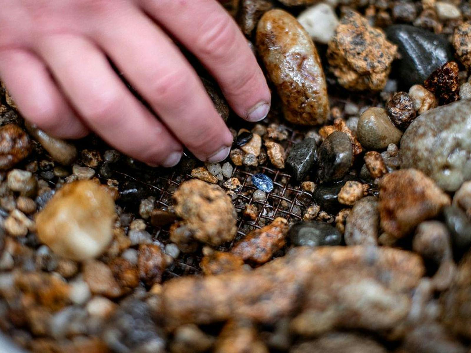 Seeking a wild Tassie sapphire image