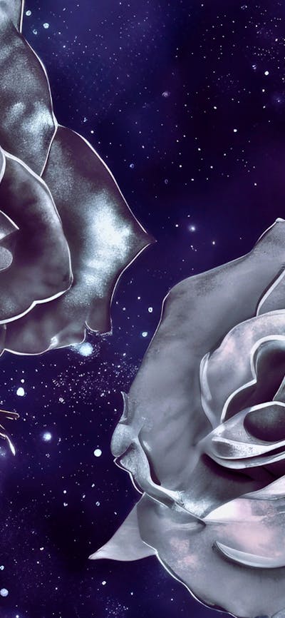 Roses in a galaxy Pattern