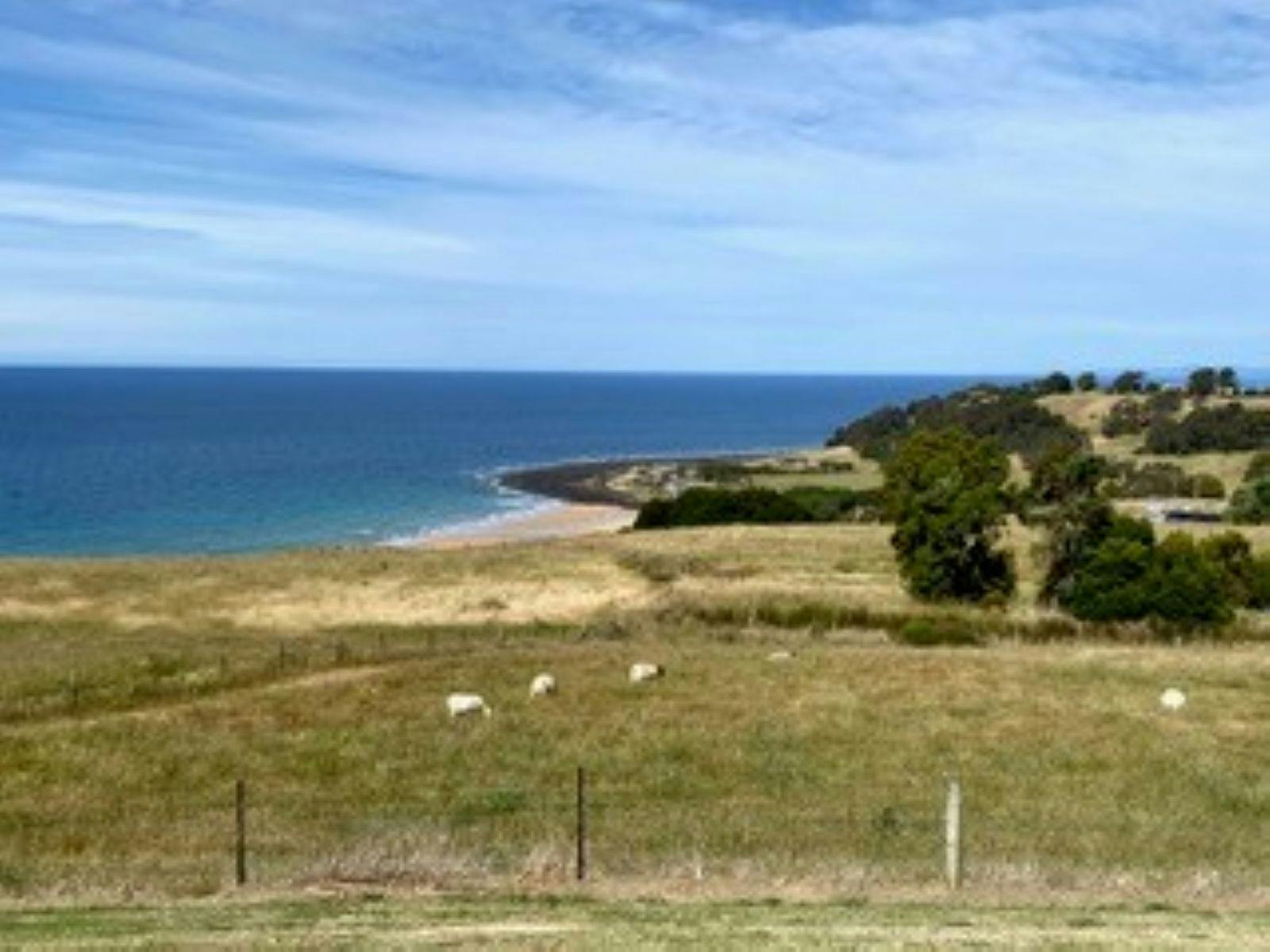 Seaside Farm