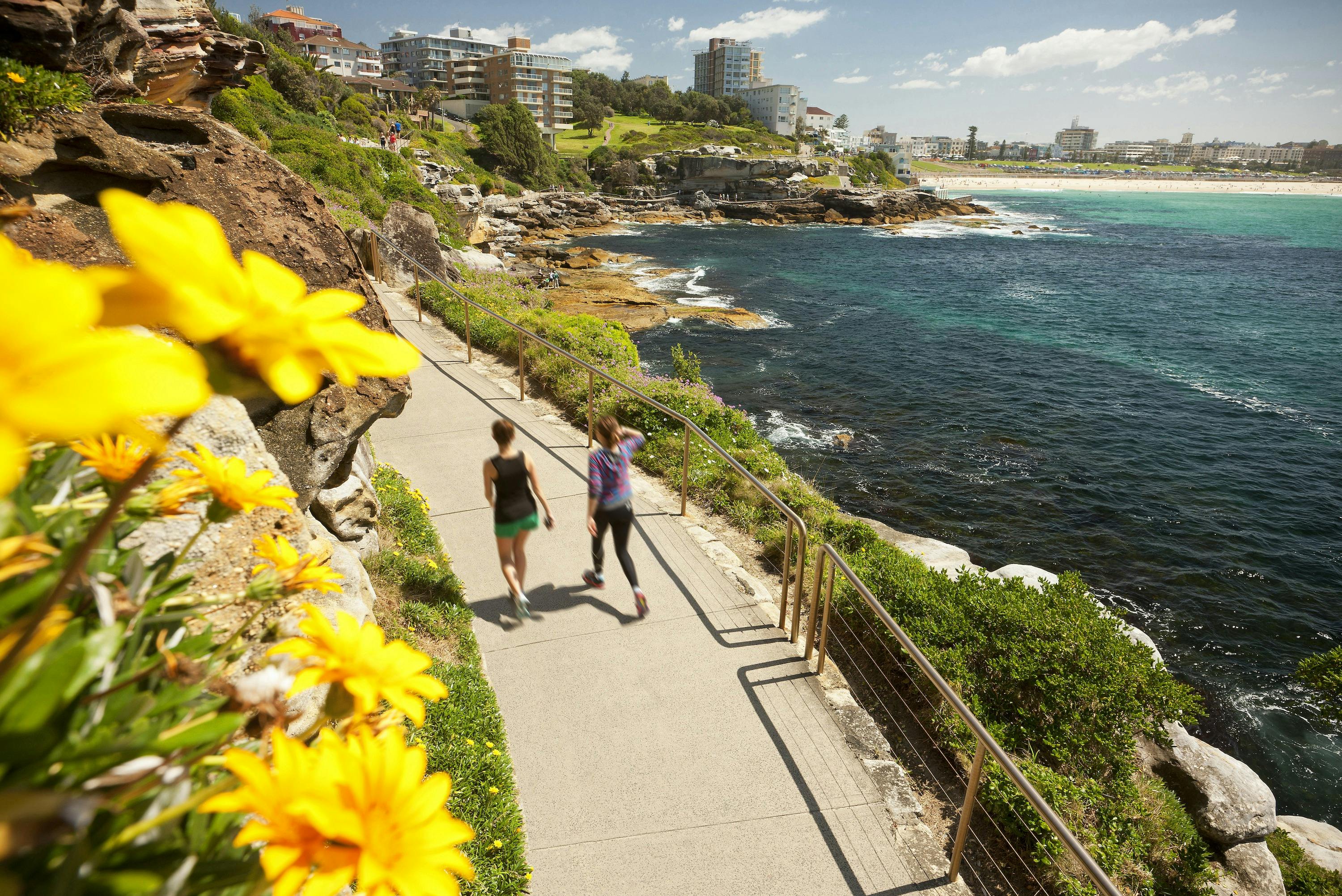Bondi to Bronte coastal walk.