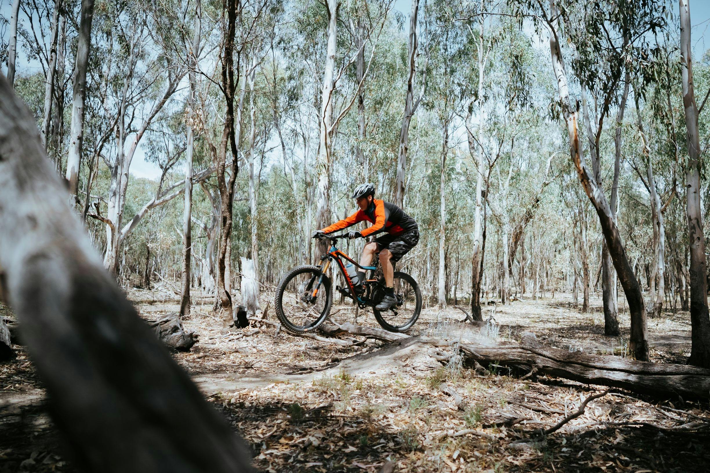 Mountain Bike Trails Murray Valley Regional Park - Deniliquin - Deni - Mountain Biking