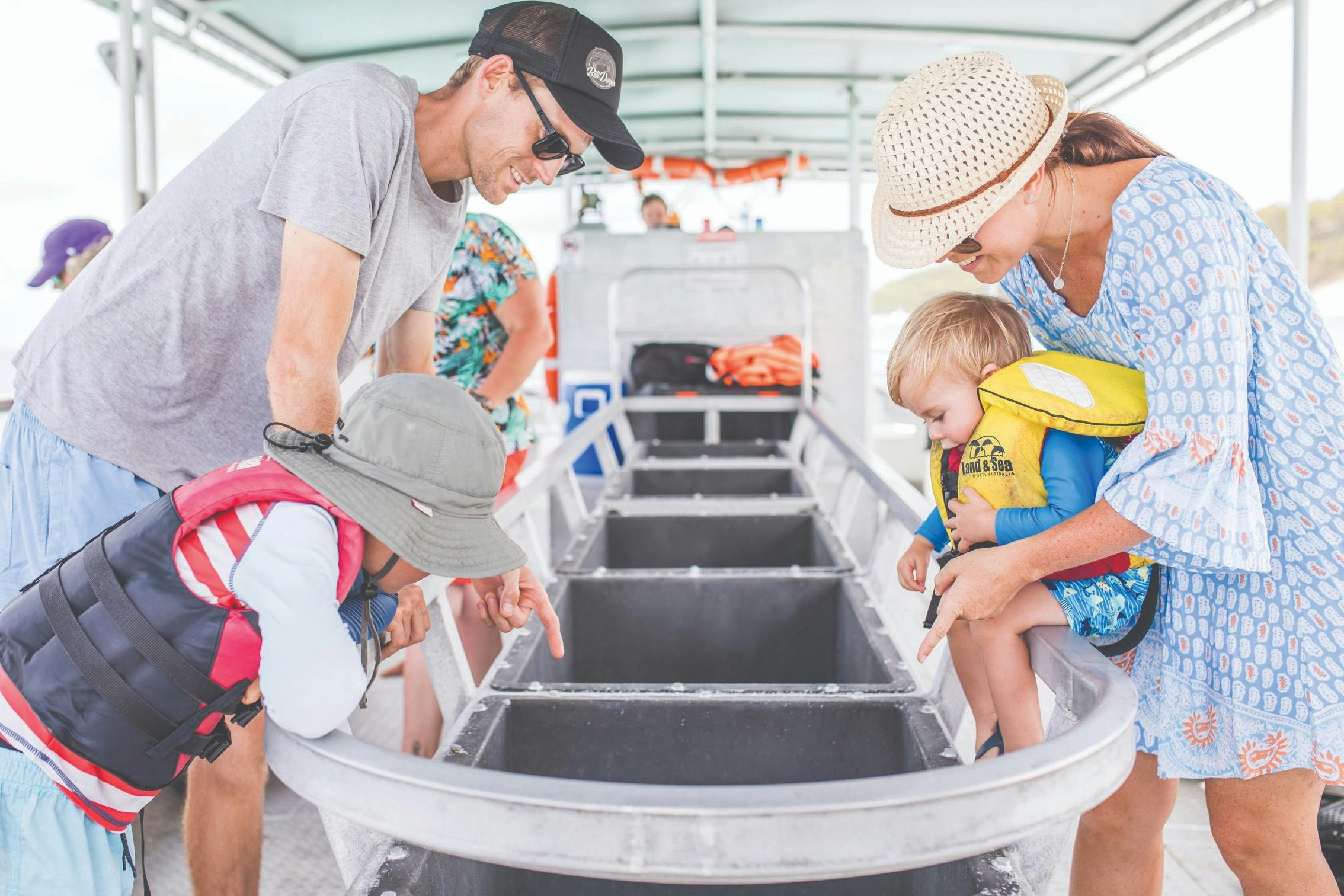 Tangalooma Island Resort Marine Discovery Day Cruise