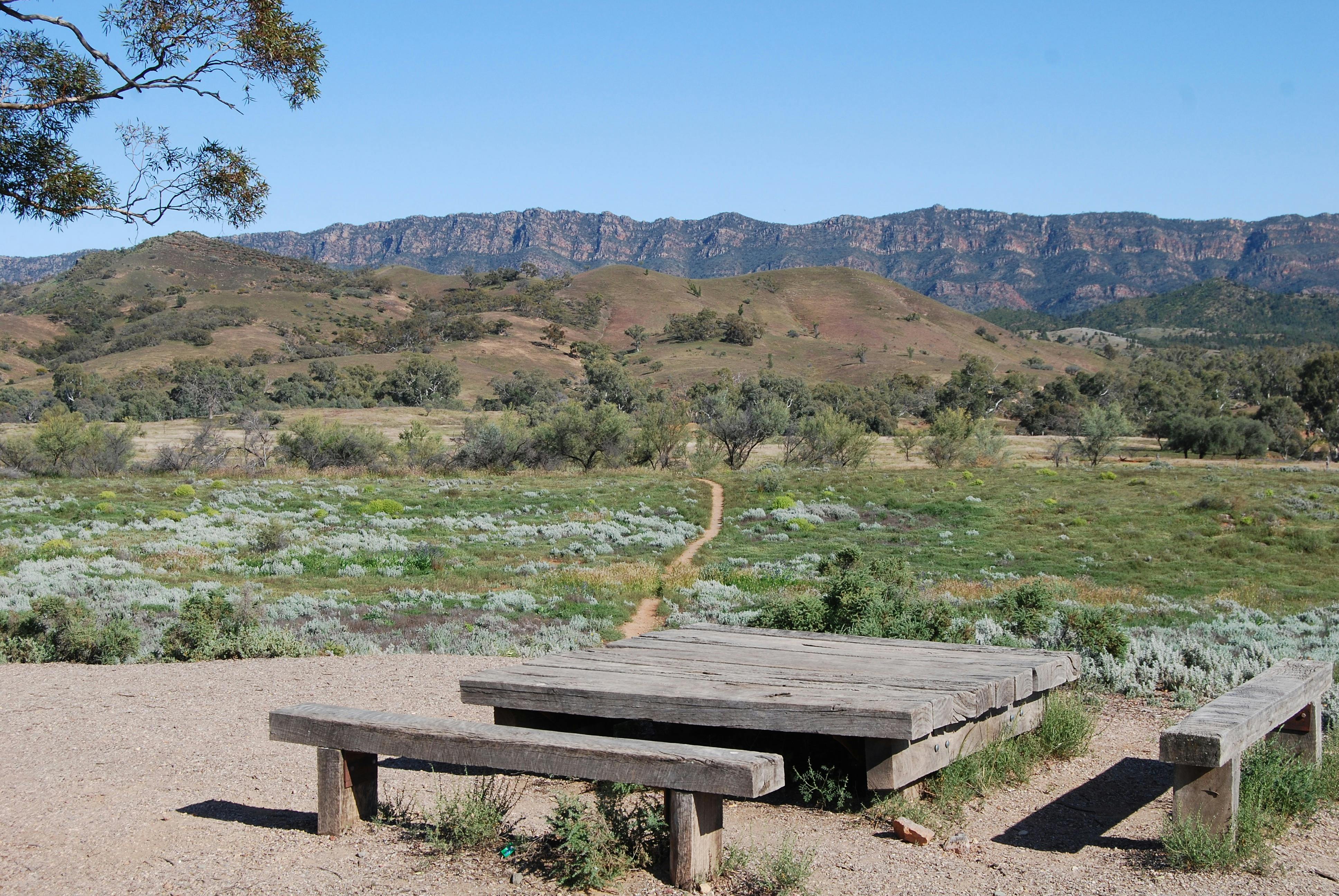 View of the Flinders Ranges
