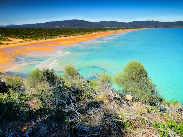 Greens Beach