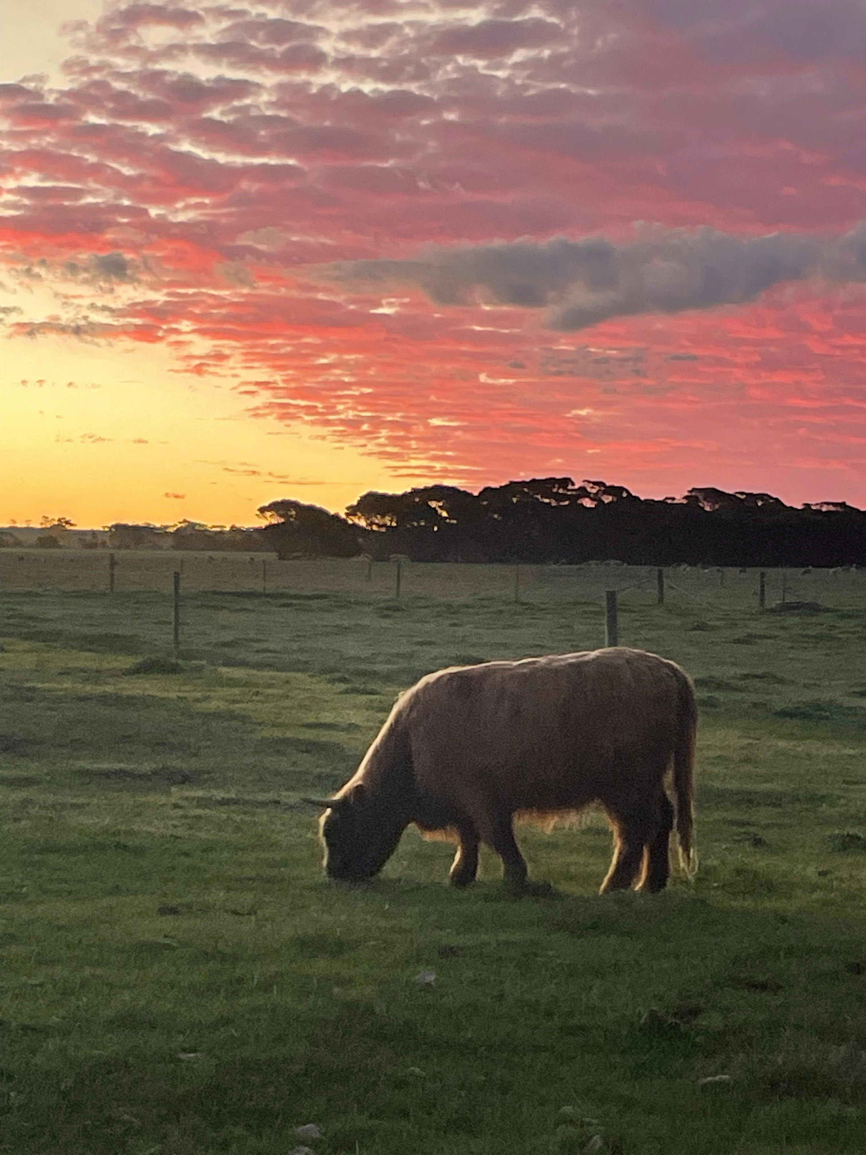 Solstice Kangaroo Island