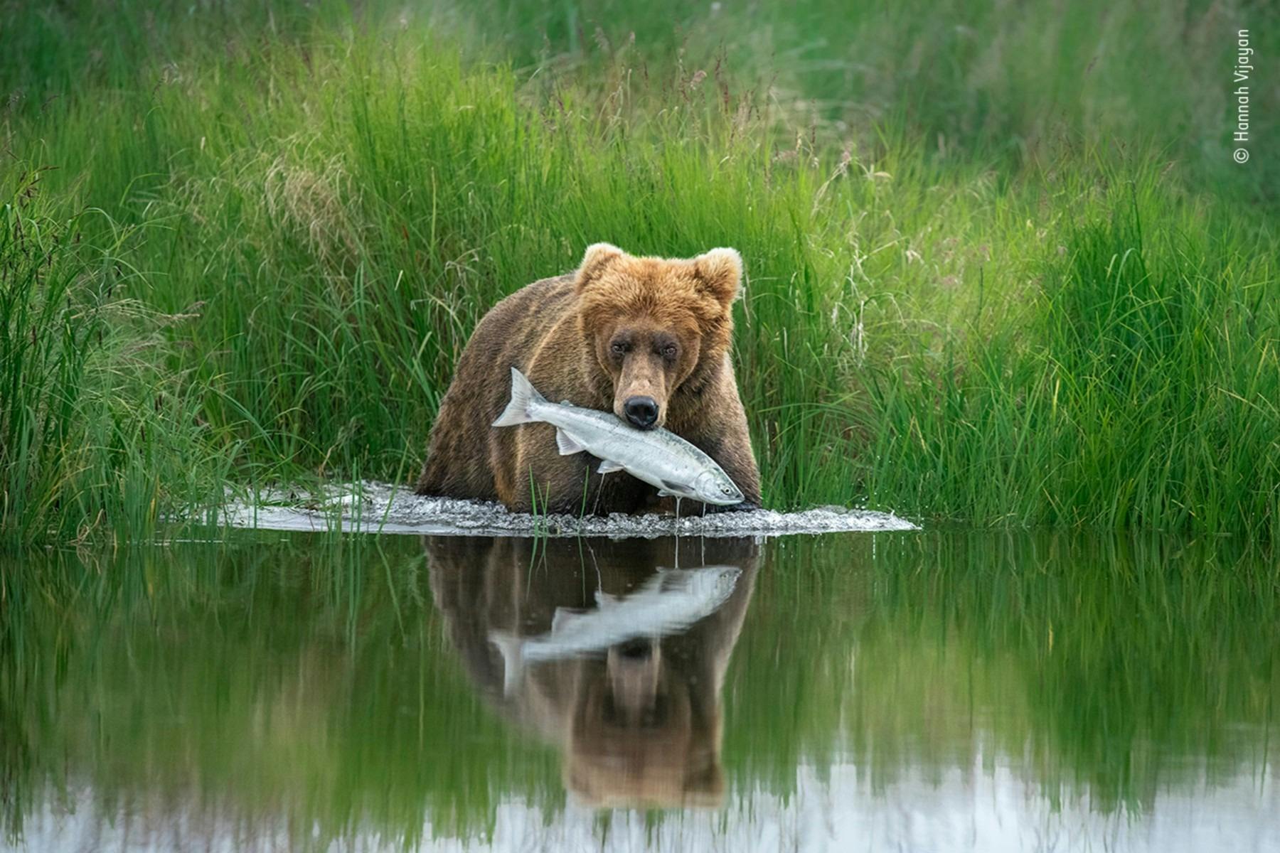 Wildlife Photographer of the Year | Sydney, Australia - Official Travel 