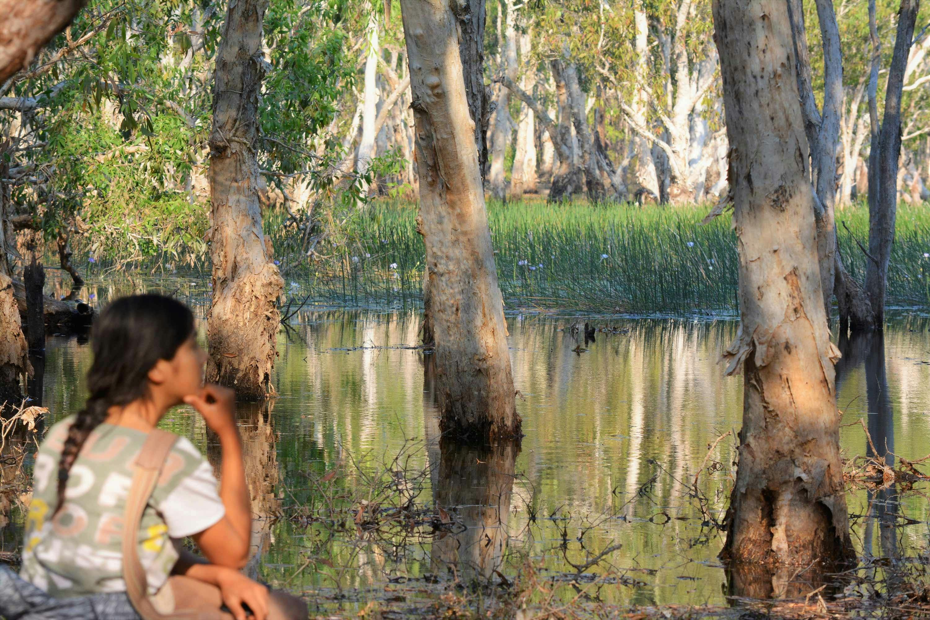 Quiet moment of reflection during your Litchfield day tour