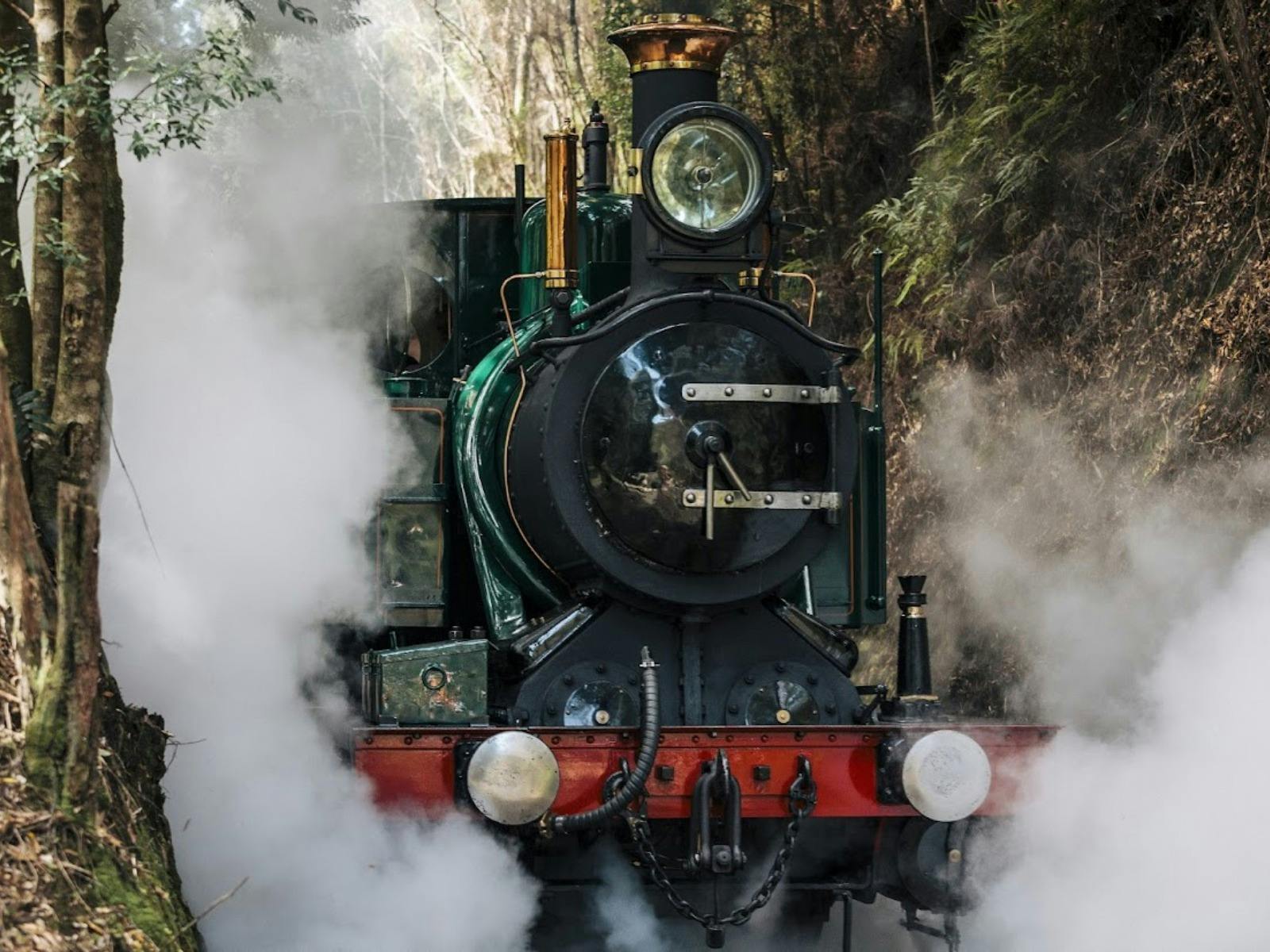 Steam locomotive in the rainforest