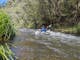 Goulburn River Kayak Adventure Jamieson