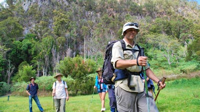 Gold Coast Hinterland Great Walk