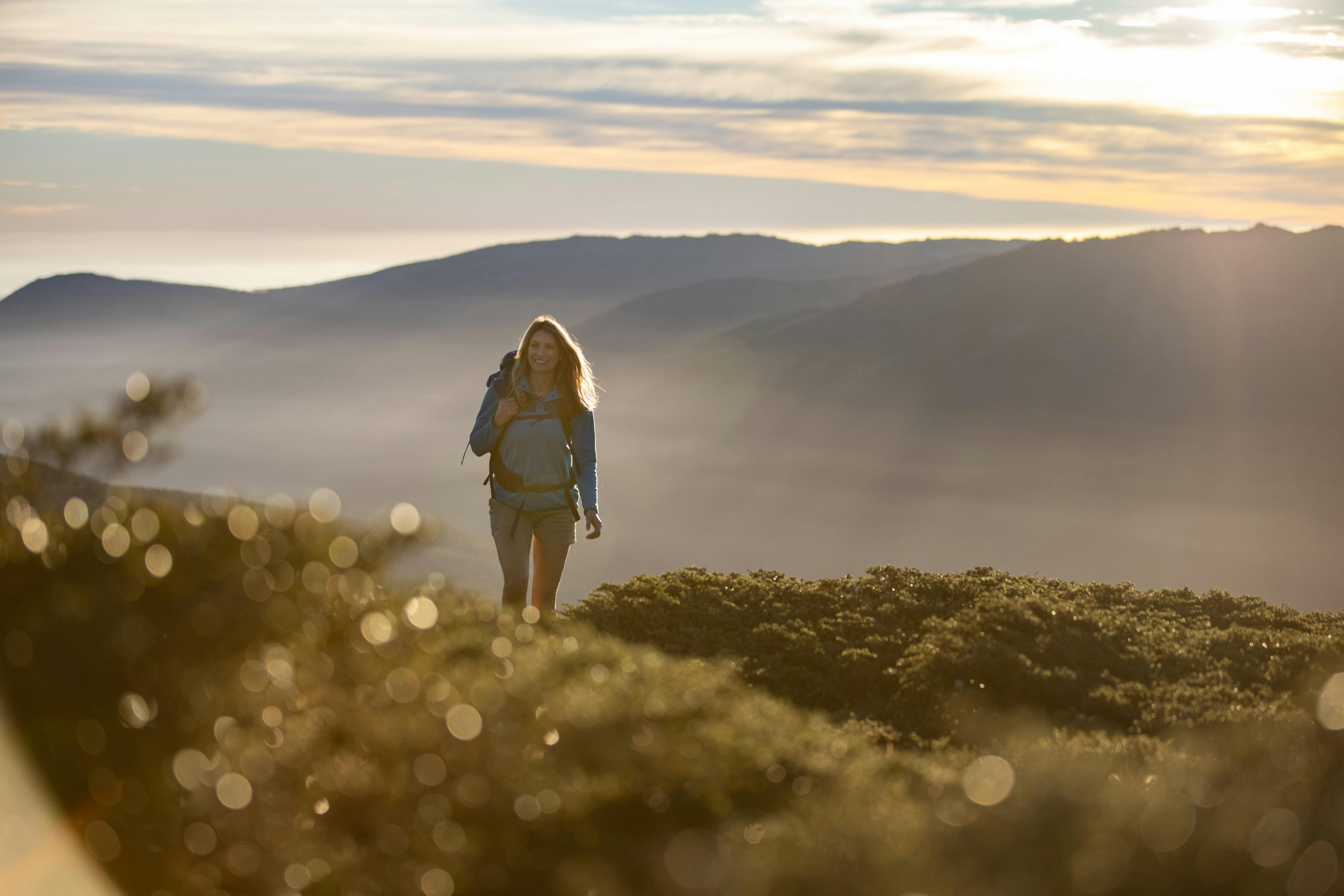 Thredbo Hikes