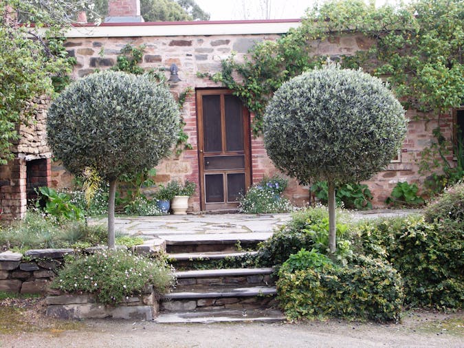 The Heritage Garden