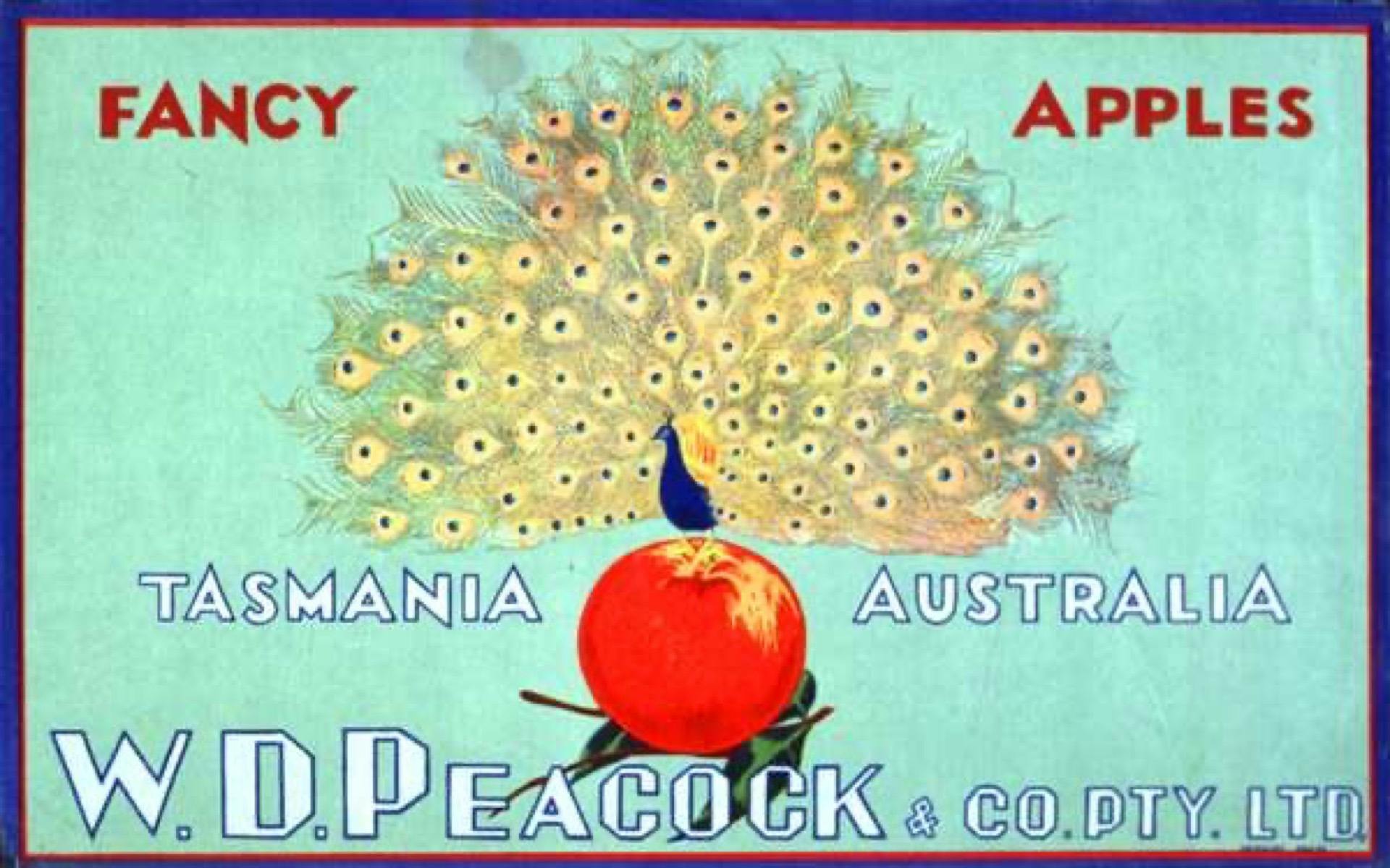 Salamanca Walk - Guided Tour