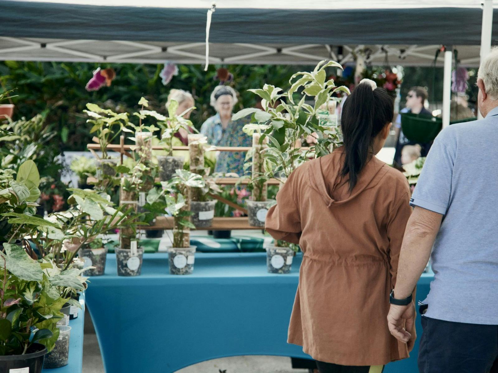 Ipswich Plant and Lifestyle Fair