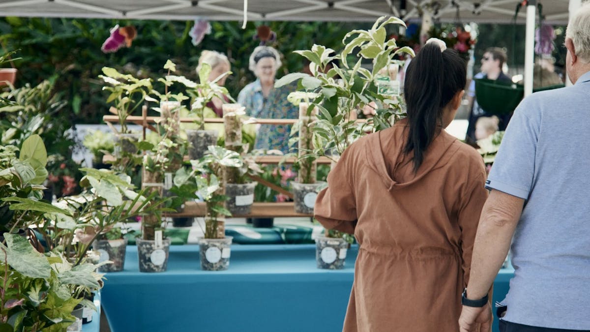 Ipswich Plant and Lifestyle Fair