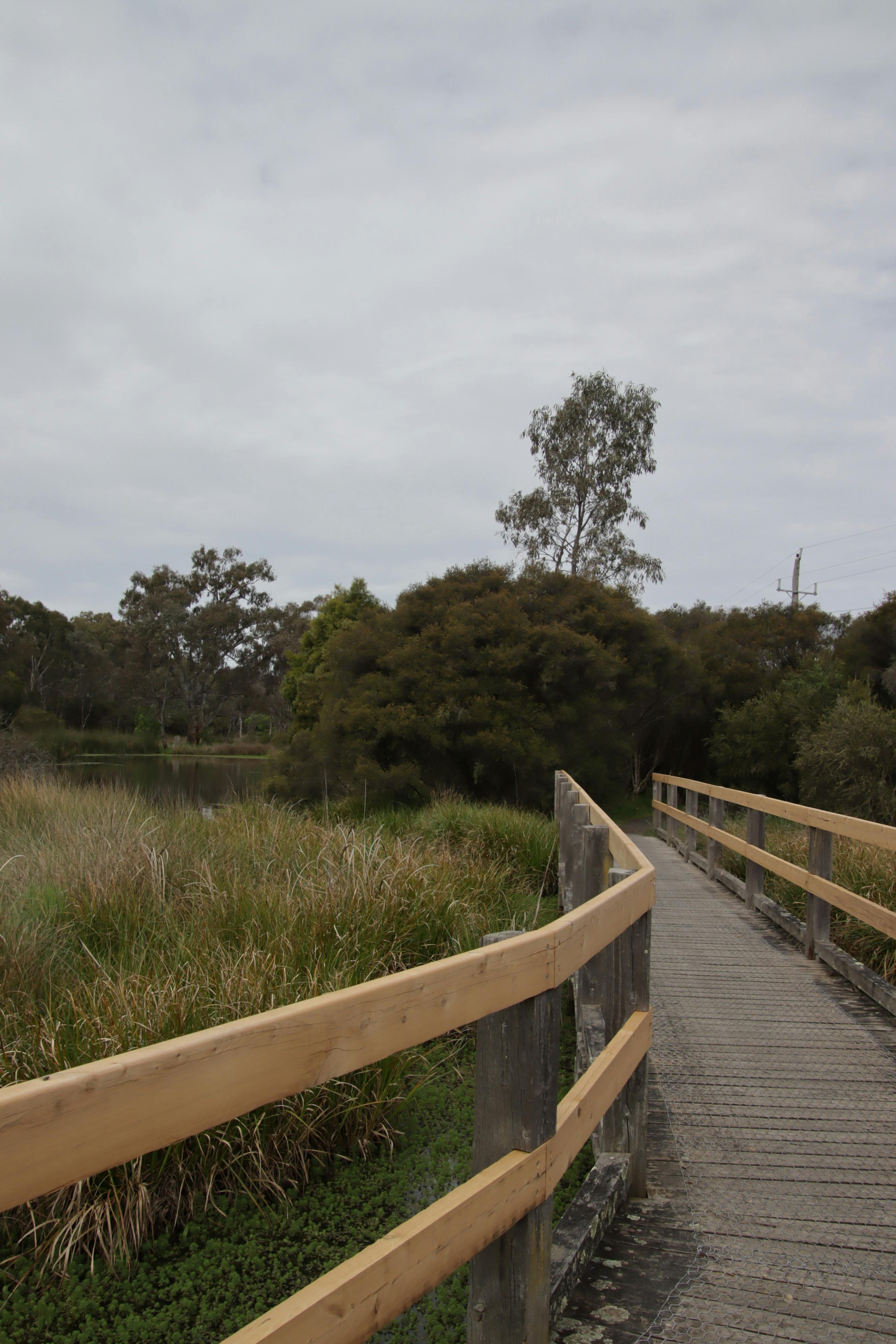 A gridded walkway going over the water to join up with a path on the other side