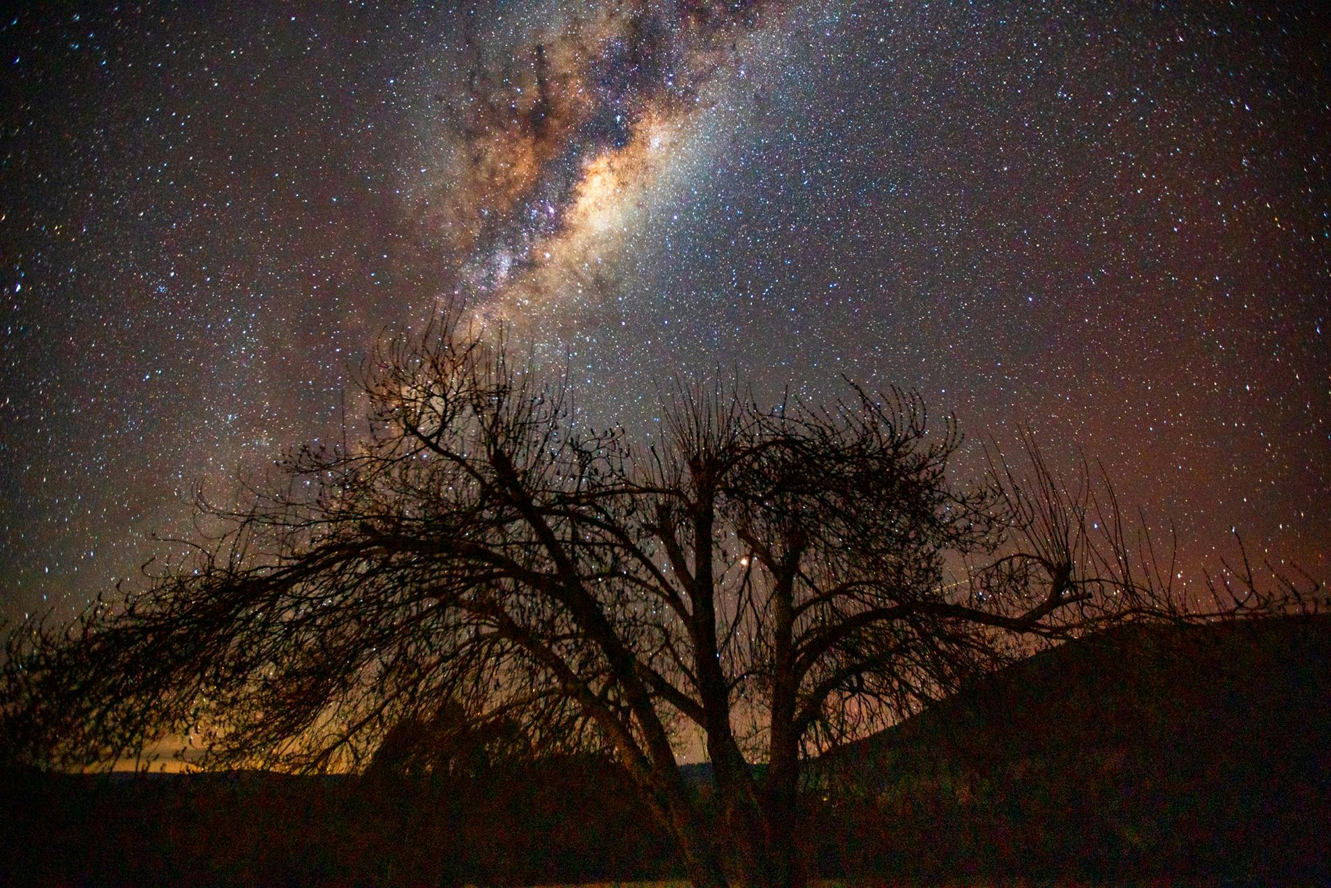 On  a clear night Stars are everywhere