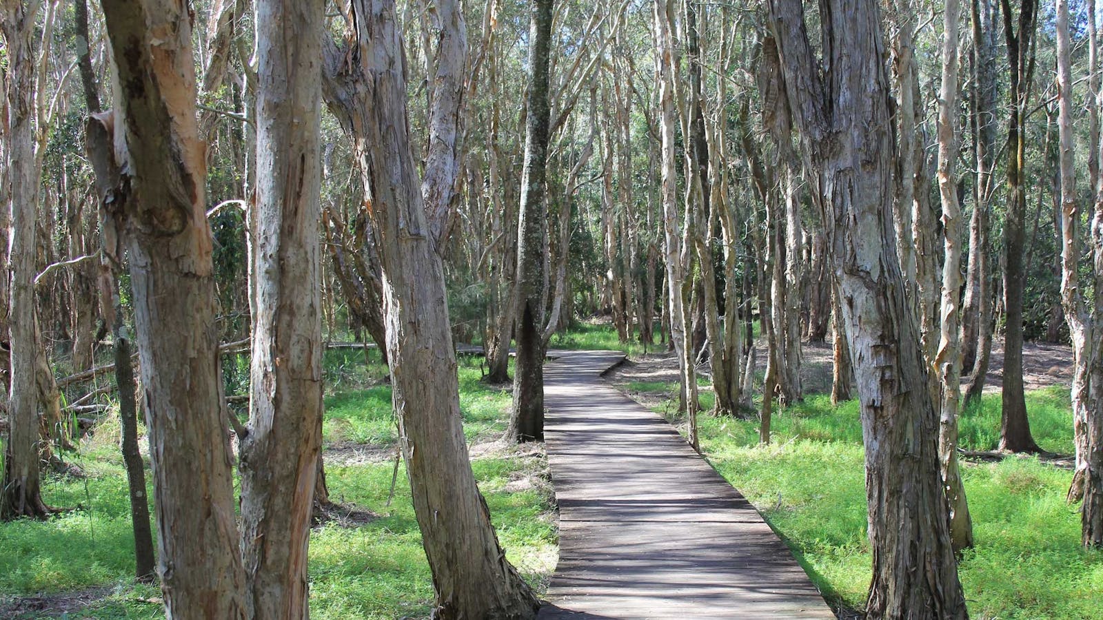 Kooloonbung Creek Nature Reserve and Historic Cemetery