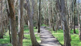 Kooloonbung Creek Nature Reserve and Historic Cemetery