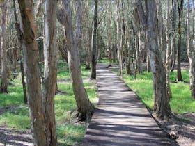 Kooloonbung Creek Nature Reserve and Historic Cemetery